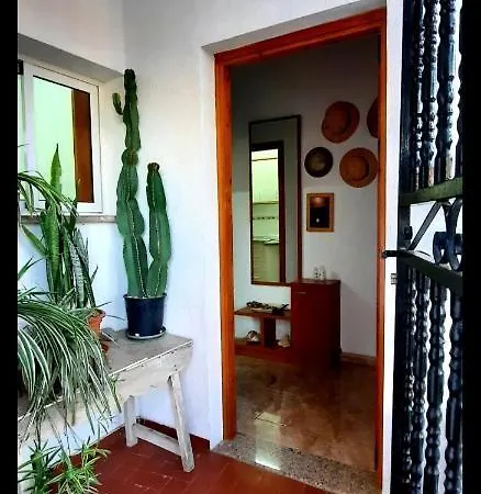 Apartamento Playa Gaviotas *
